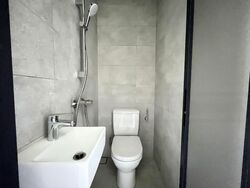 Leedon Green (D10), Condominium #432652411